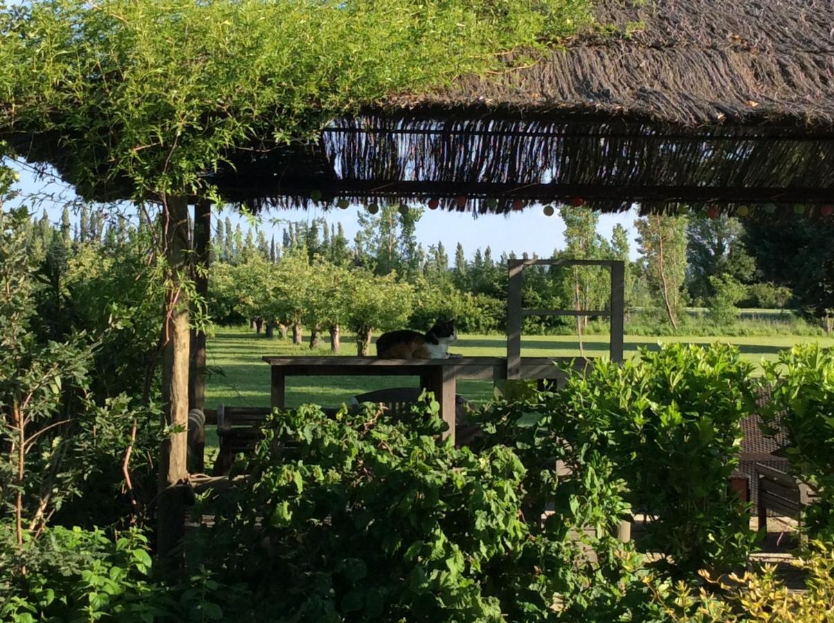 La Bergerie De Castellan Bed & Breakfast Verquieres Dış mekan fotoğraf