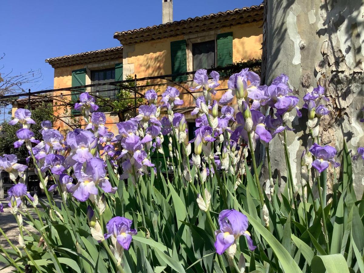 La Bergerie De Castellan Bed & Breakfast Verquieres Dış mekan fotoğraf